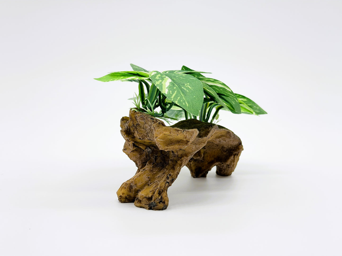 Realistic Aquarium Plant on Rock Decoration