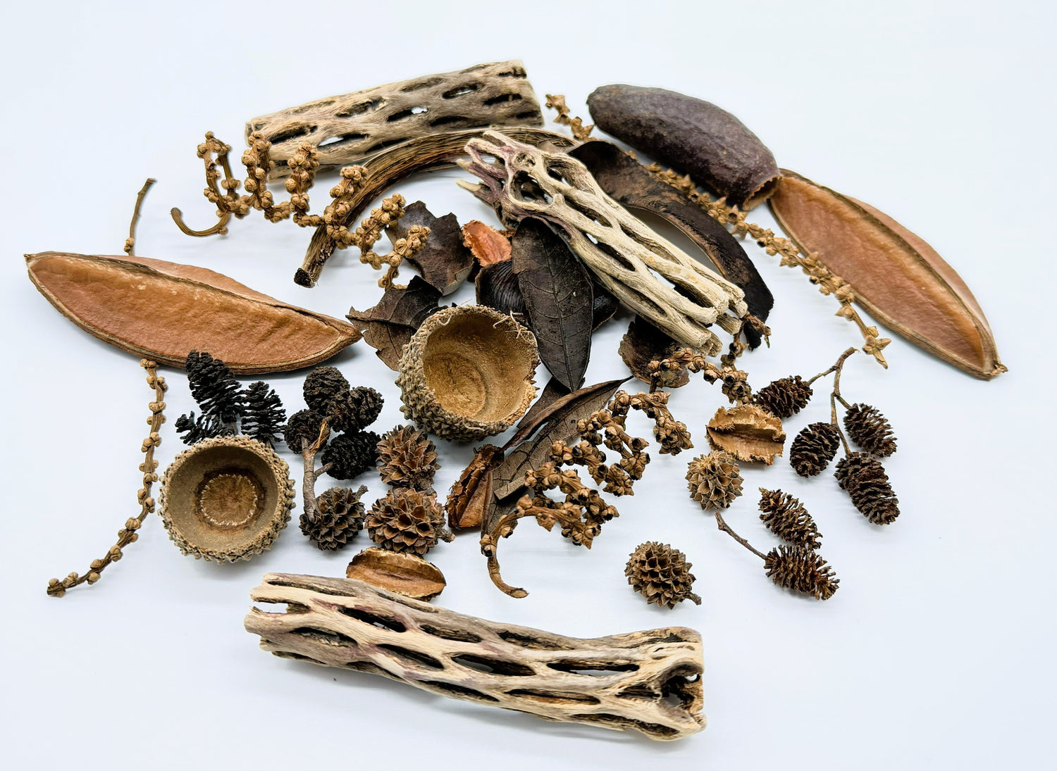 Aquarium Botanicals