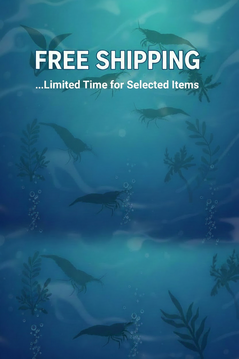 Free Shipping