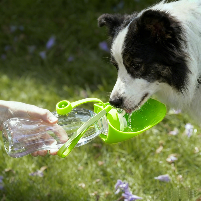 20 oz Dog Water Bottle with Silicone Foldable Bowl