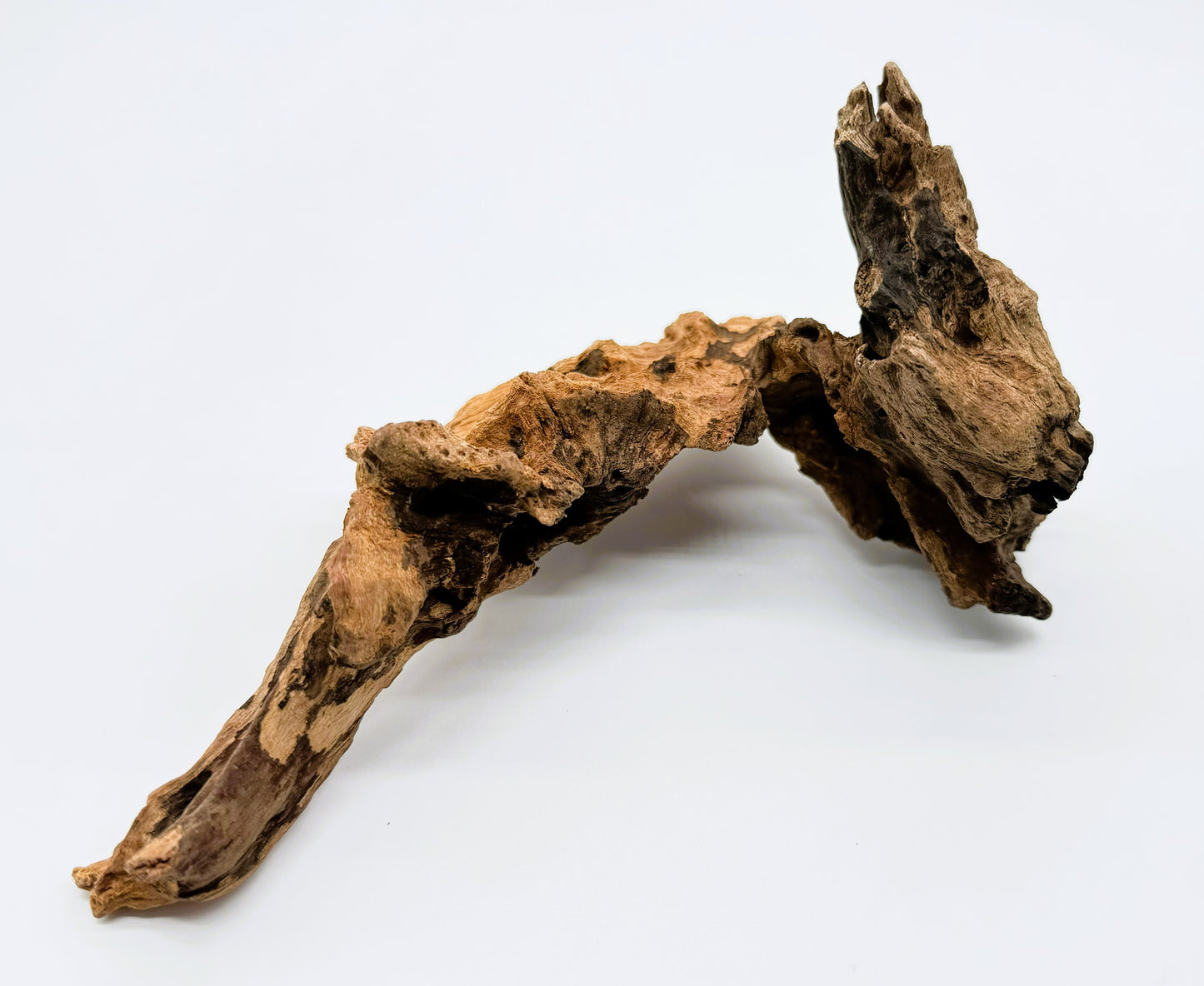 Pacific Driftwood