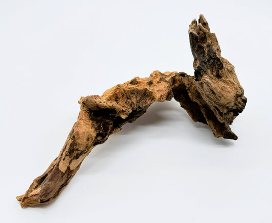 Pacific Driftwood