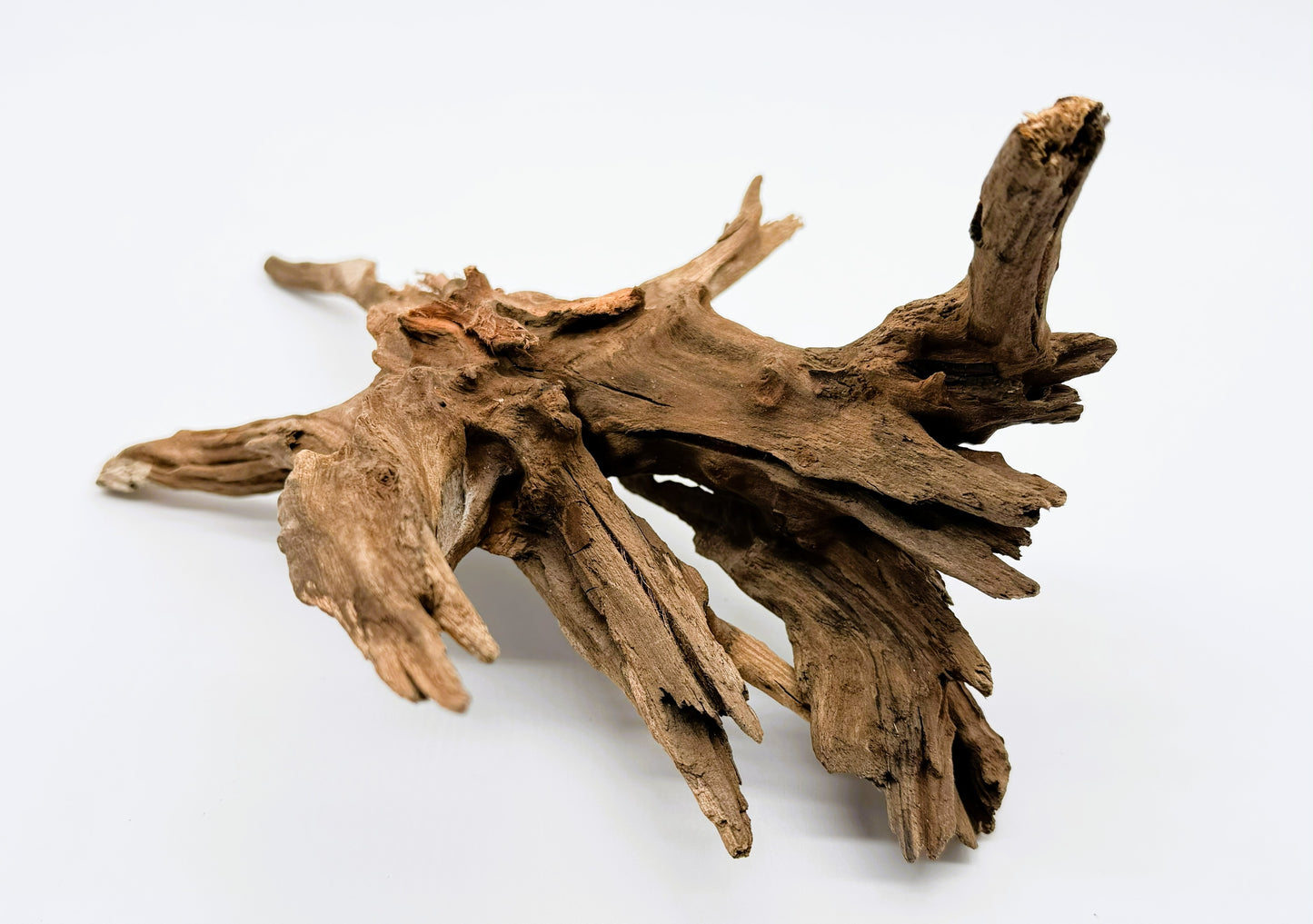 Pacific Driftwood