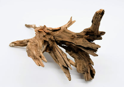 Pacific Driftwood