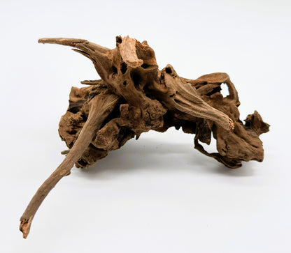 Pacific Driftwood