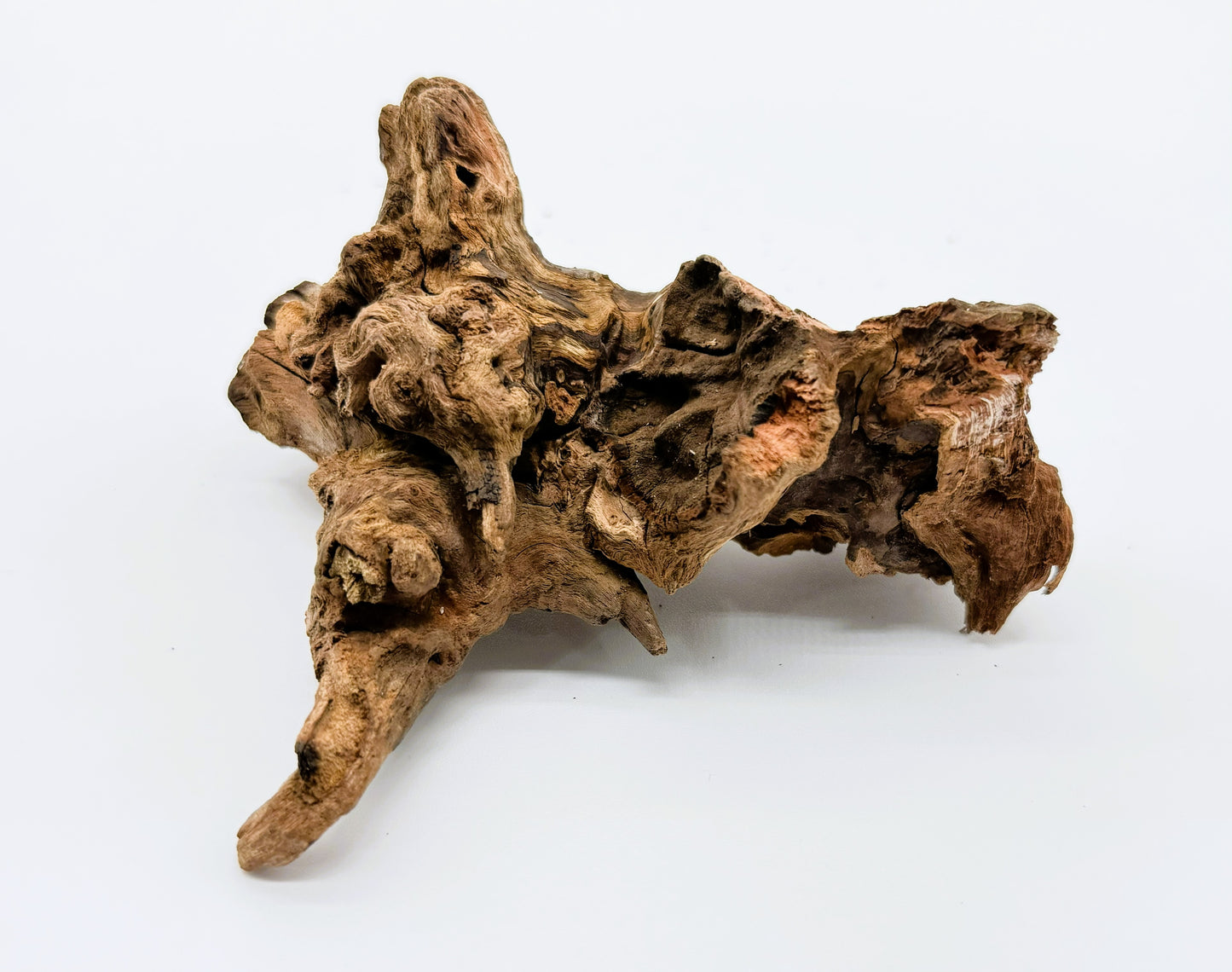 Pacific Driftwood