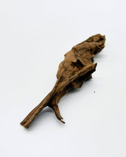 Pacific Driftwood