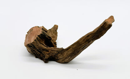 Pacific Driftwood