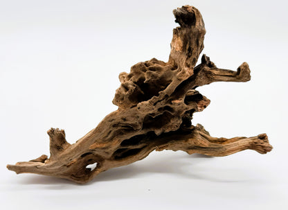 Pacific Driftwood