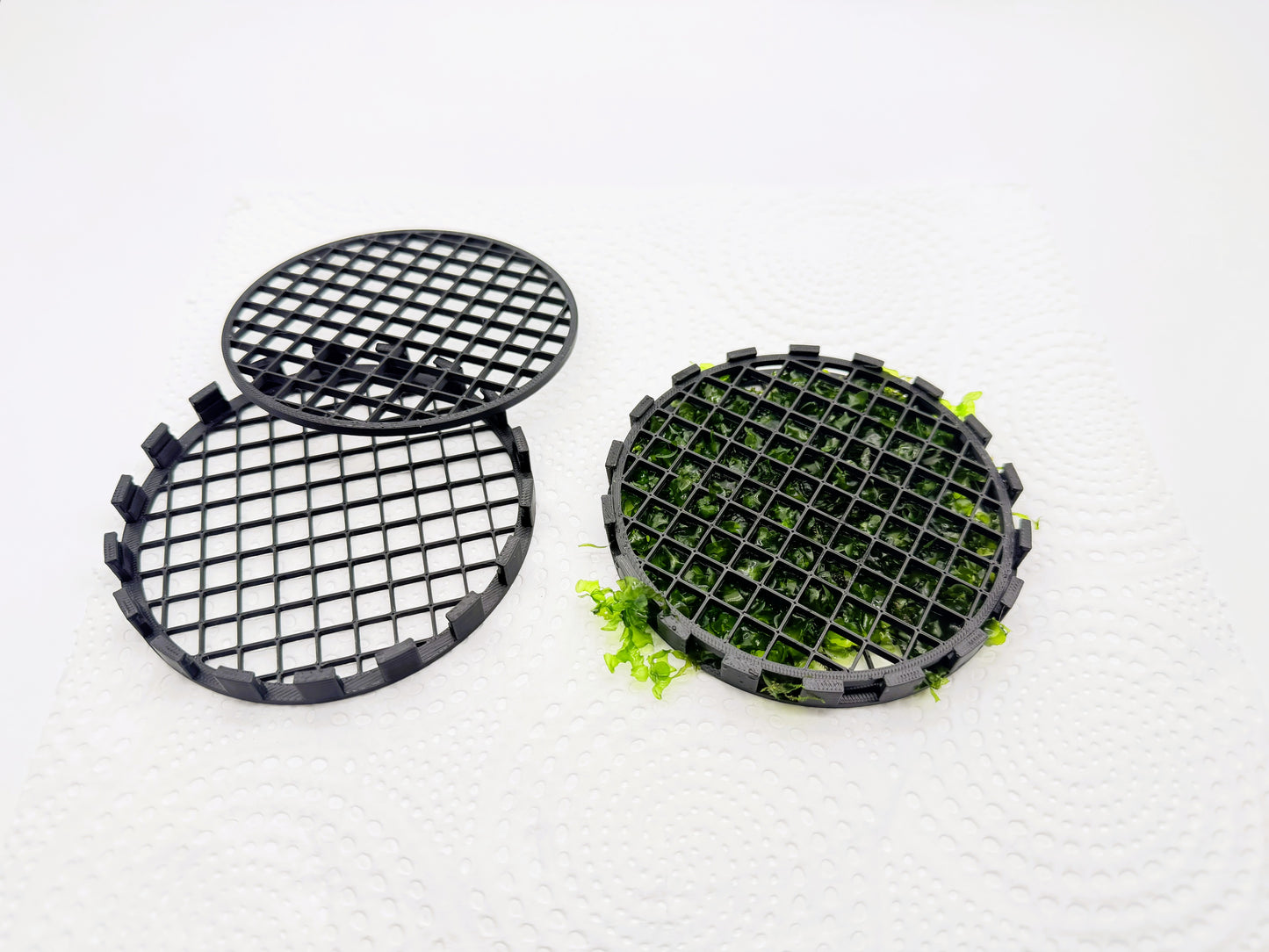 Aquarium Moss Holder 2 Pack