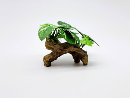 Realistic Aquarium Plant on Rock Decoration