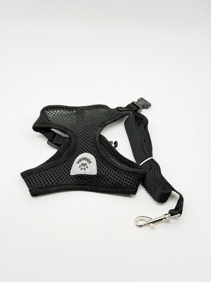 Small Dog Harness and Leash Set