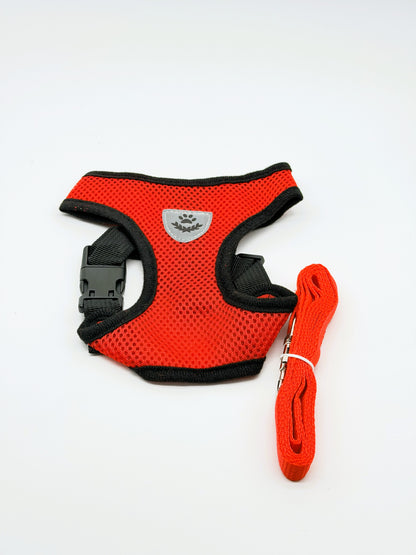 Small Dog Harness and Leash Set