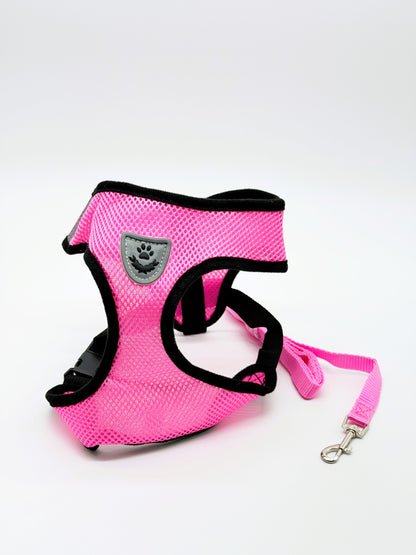 Small Dog Harness and Leash Set