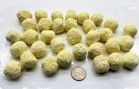 300 Grams Aquarium Media Bio Balls