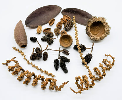 Aquatic Botanical Pack