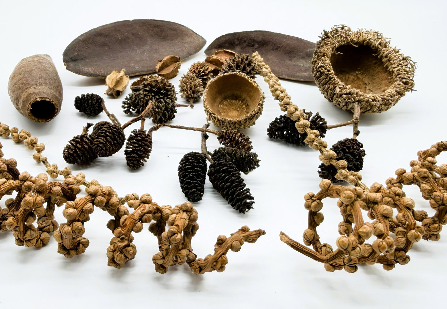 Aquatic Botanical Pack
