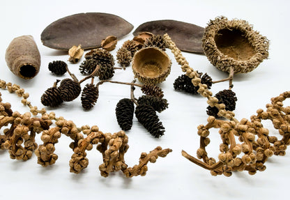 Aquatic Botanical Pack