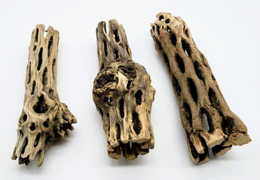 Natural Cholla Wood for Aquarium 3 Pack