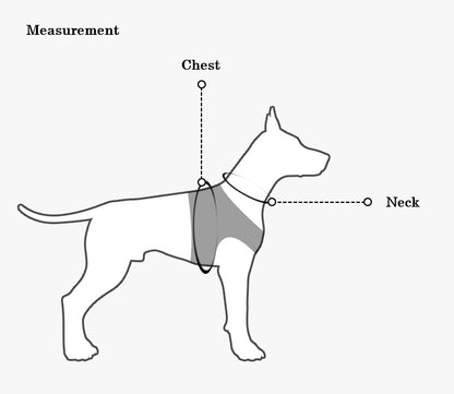 Small Dog Harness and Leash Set