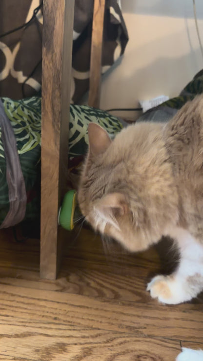 Avocado Shaped Catnip Wall Toy