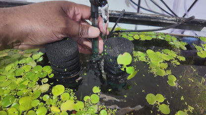Powered Aquarium Sponge Filter